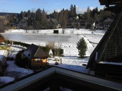 Apartment Gaestehaus Lickert Familie Dreher Hinterzarten