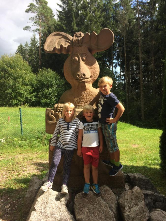 Apartment Gaestehaus Lickert Familie Dreher